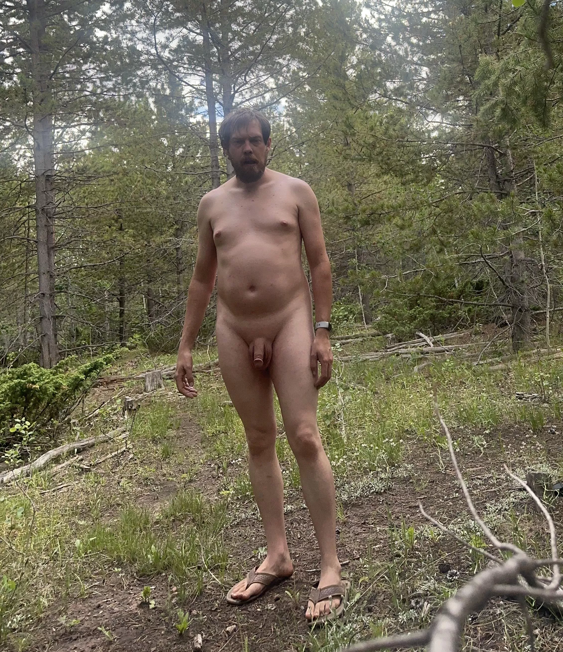 Wear tiger In the woods