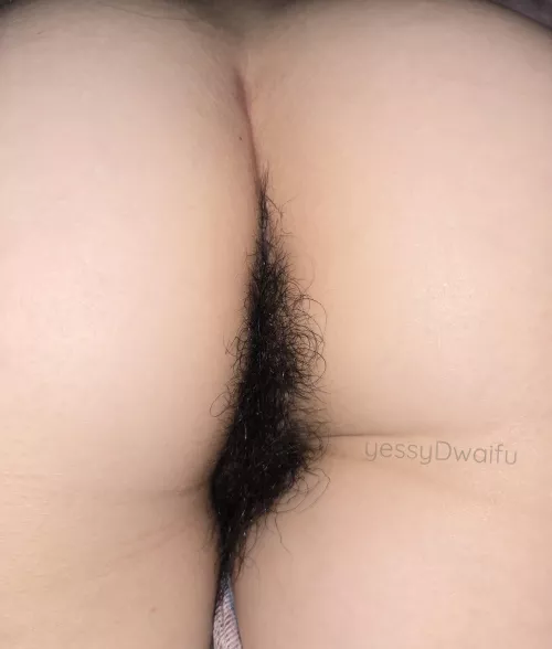 both my holes are hairy af 