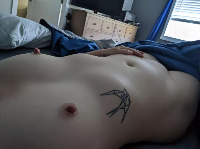 Does the boob size matter or you just in it for the suckable nips?