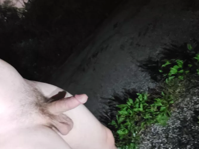 Enjoying a nighttime nake hike