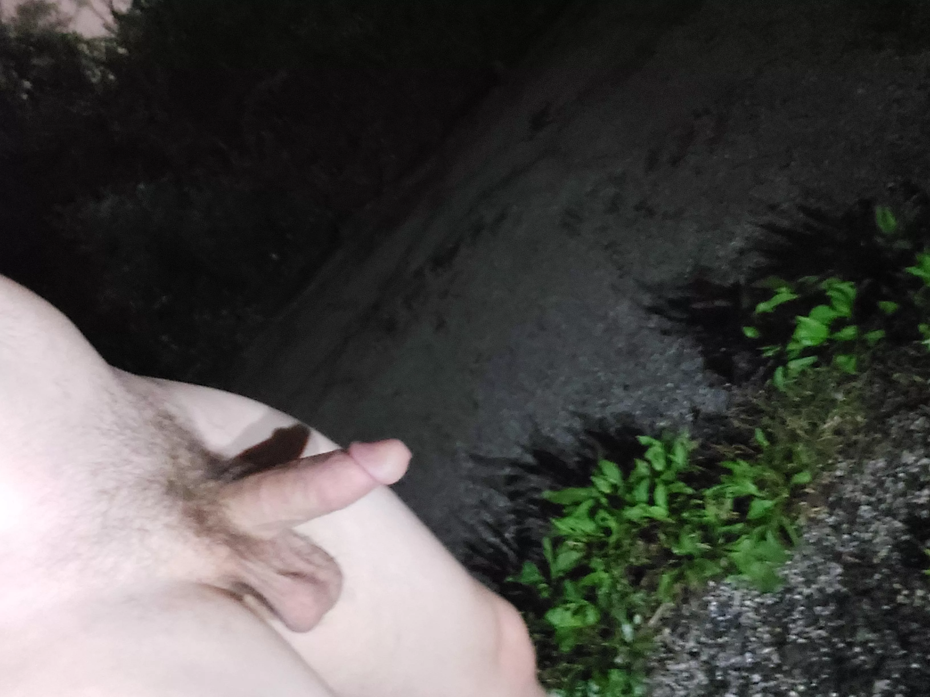 Enjoying a nighttime nake hike