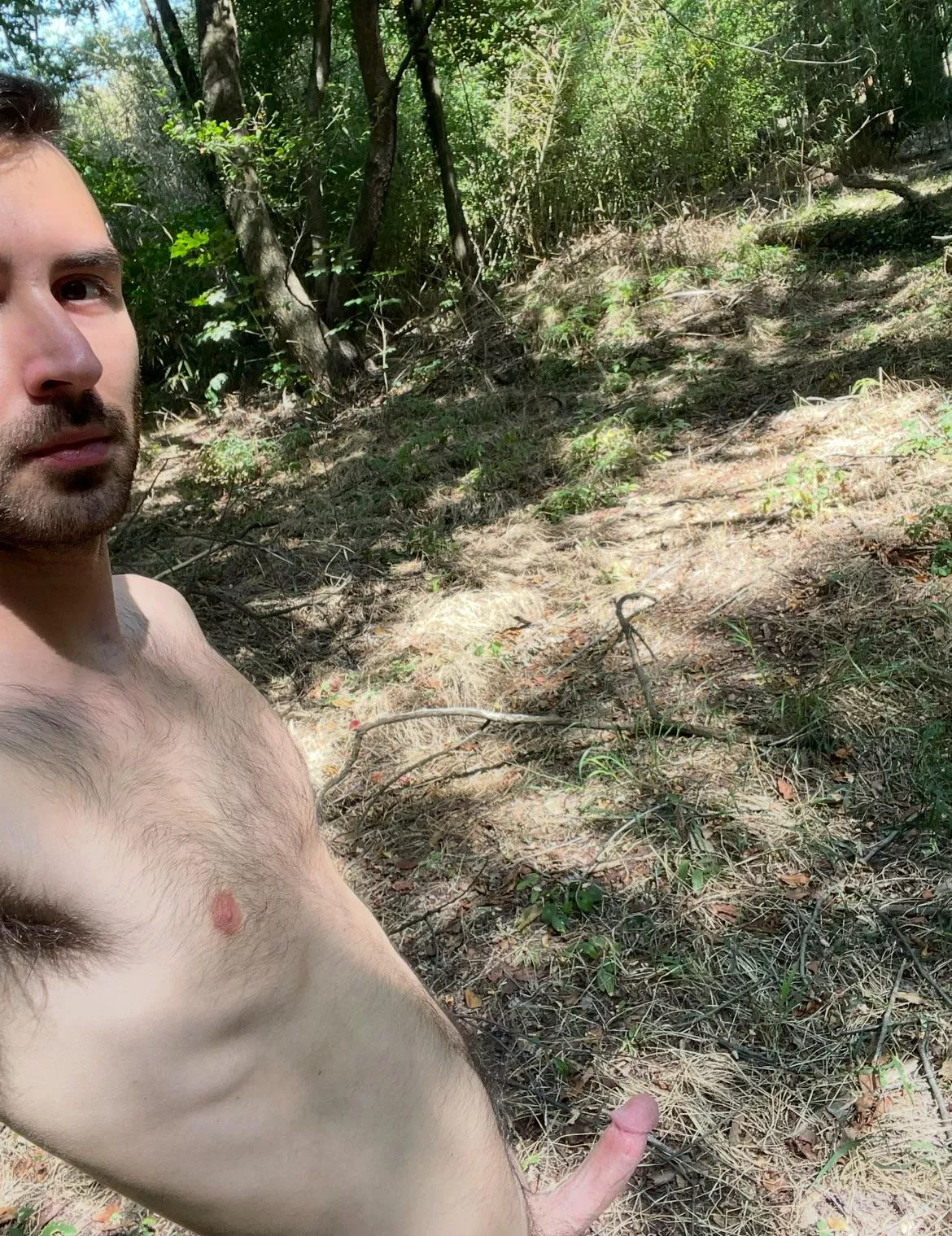 good morning everyone ☀️☀️ i’m back in the wood! [29]