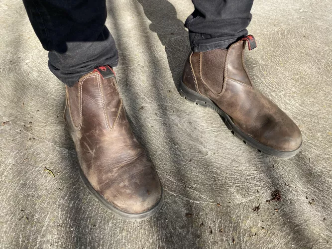 These Redbacks spend every day of the week with me, my “Daily Drive” if you will.  What is everybody else’s “Daily Driver”? 