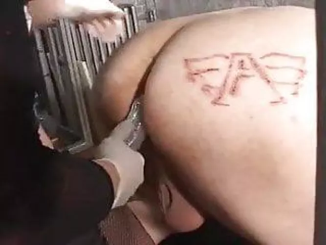 Church Announcements: Get your Marks Today pigs!