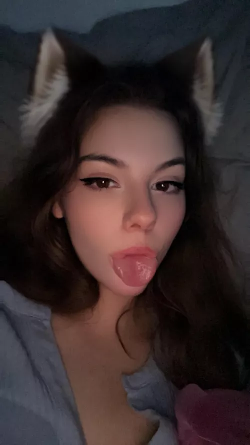 I need a good boy 🐱