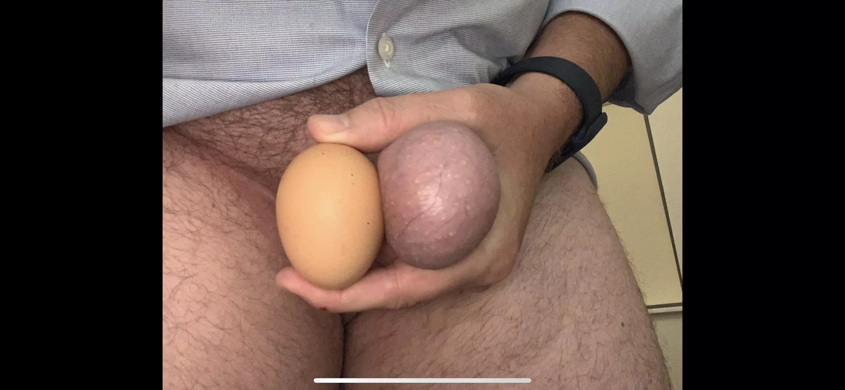 One egg; one nut