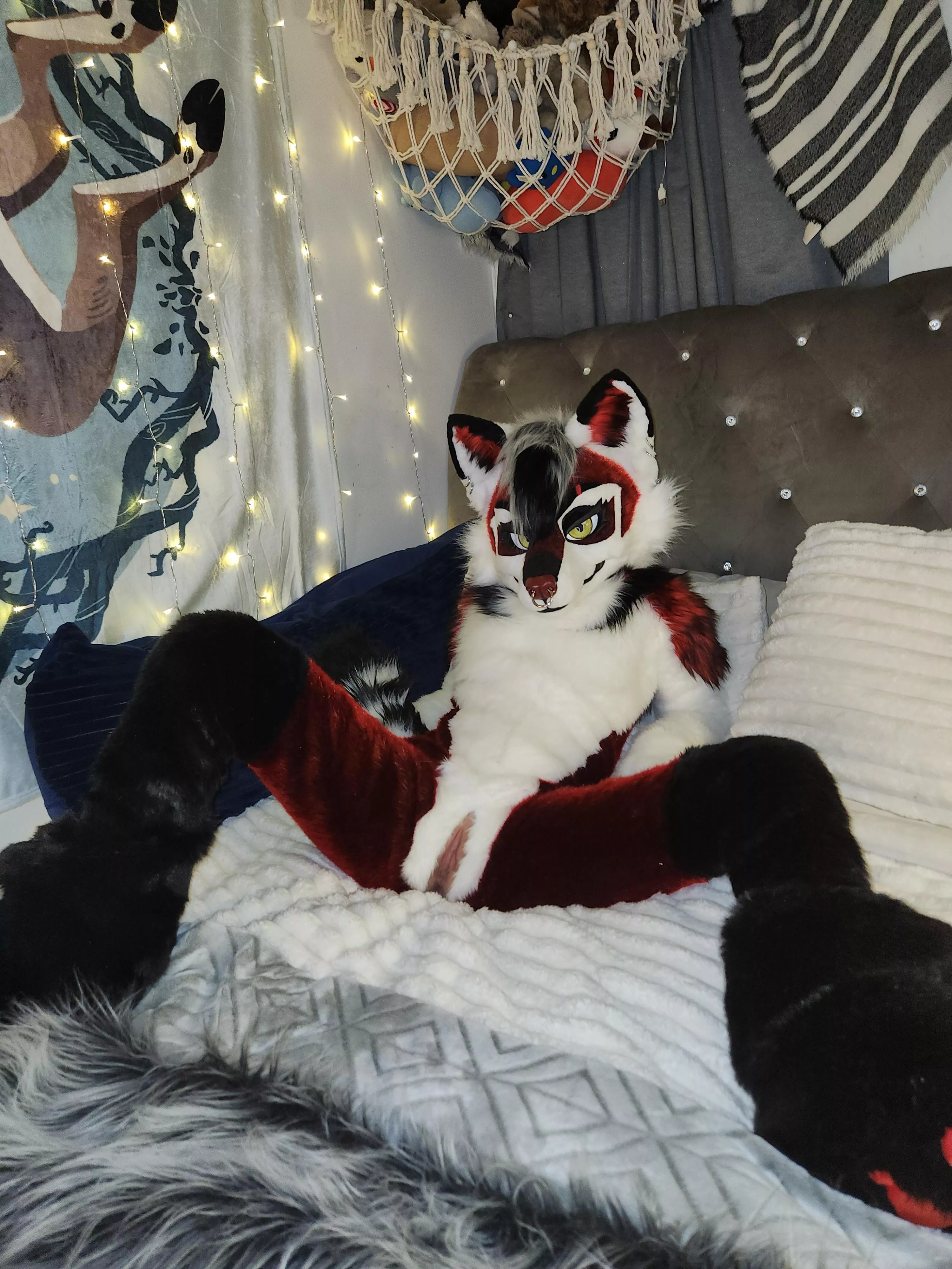 There's plenty of room for two