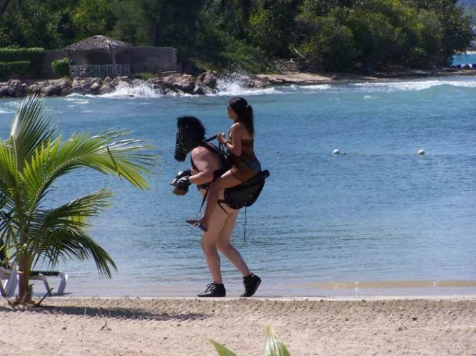 Traveling to Portlandia