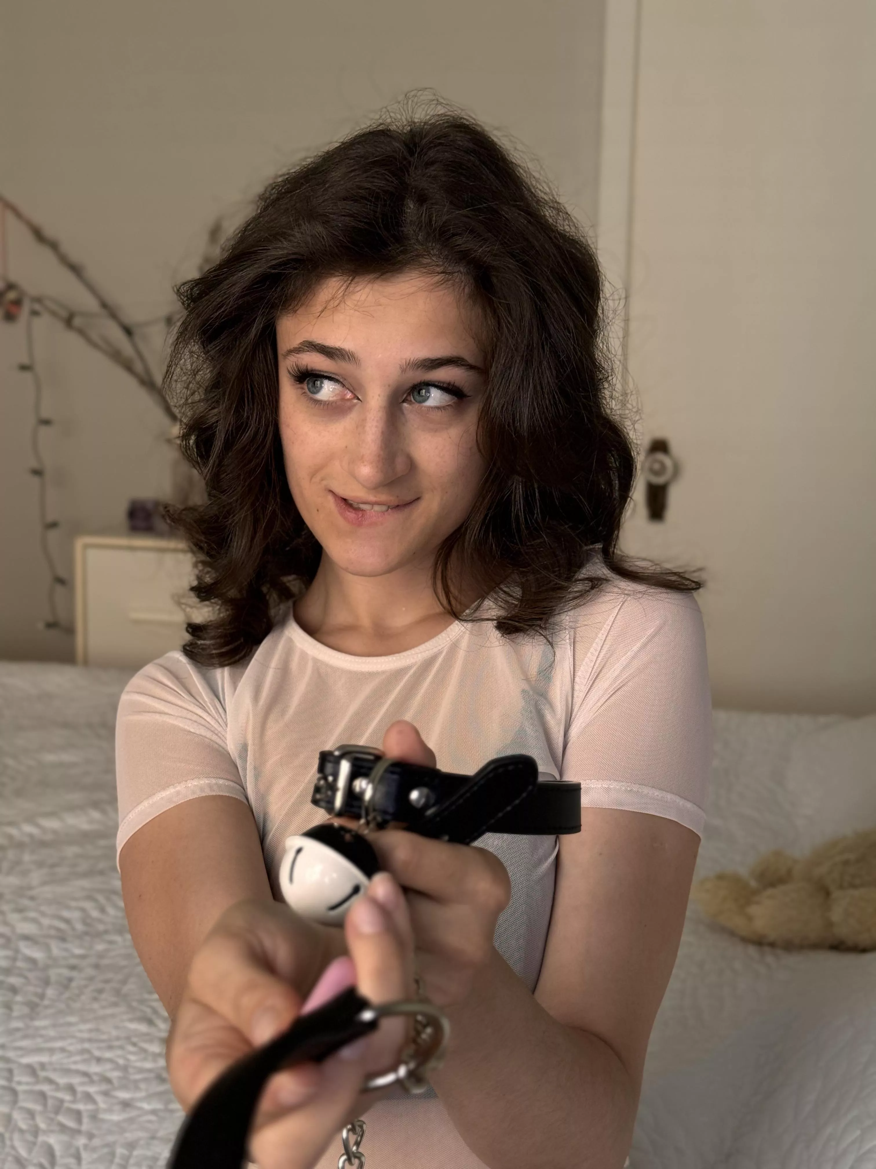 Waiting to be leashed