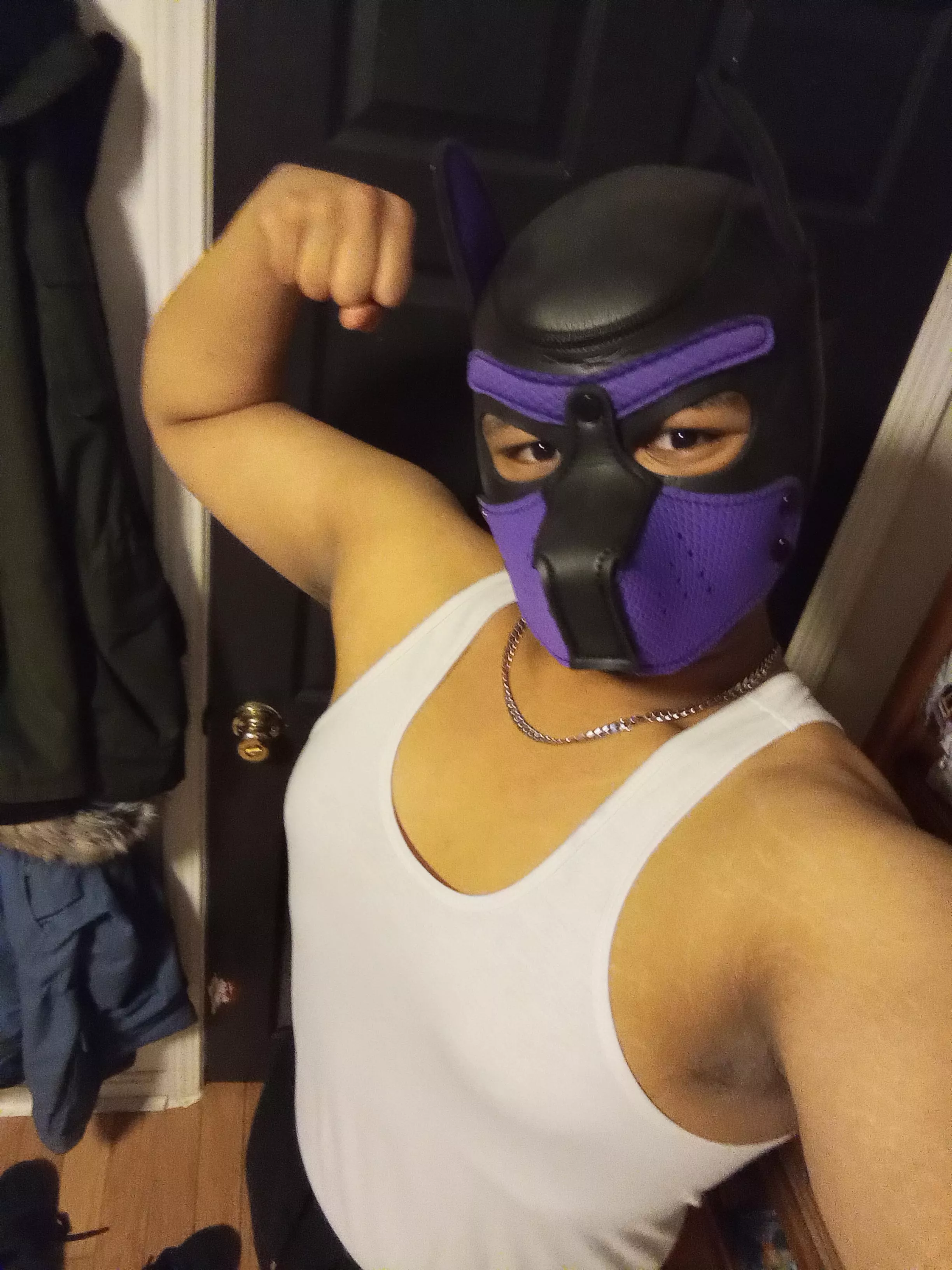 Any pups going to Breakaway music festival in Massachusetts?