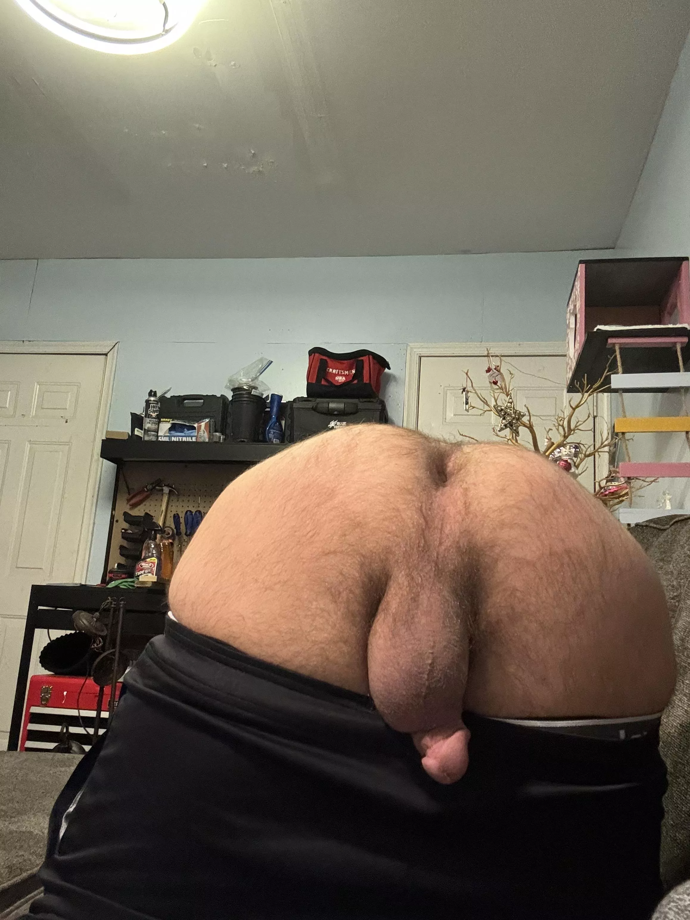 DMs are open, tell me what you want to do with my hairy ass