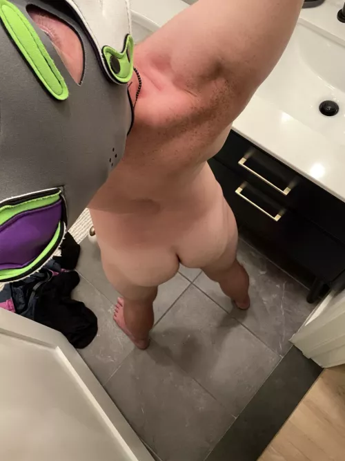 Who’s got a bone to bury?