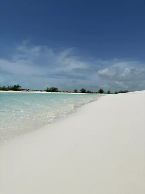 Just another day at the beach. 