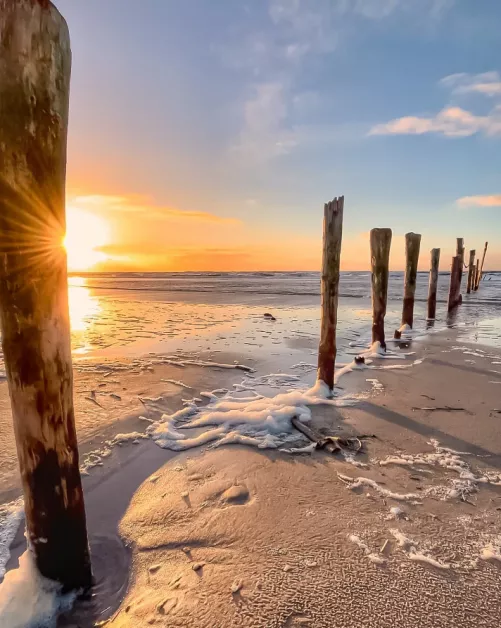 Life is better at the beach