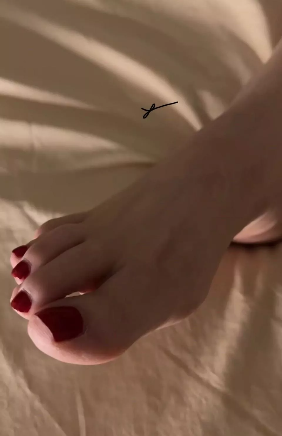 Up Close & personal🌹