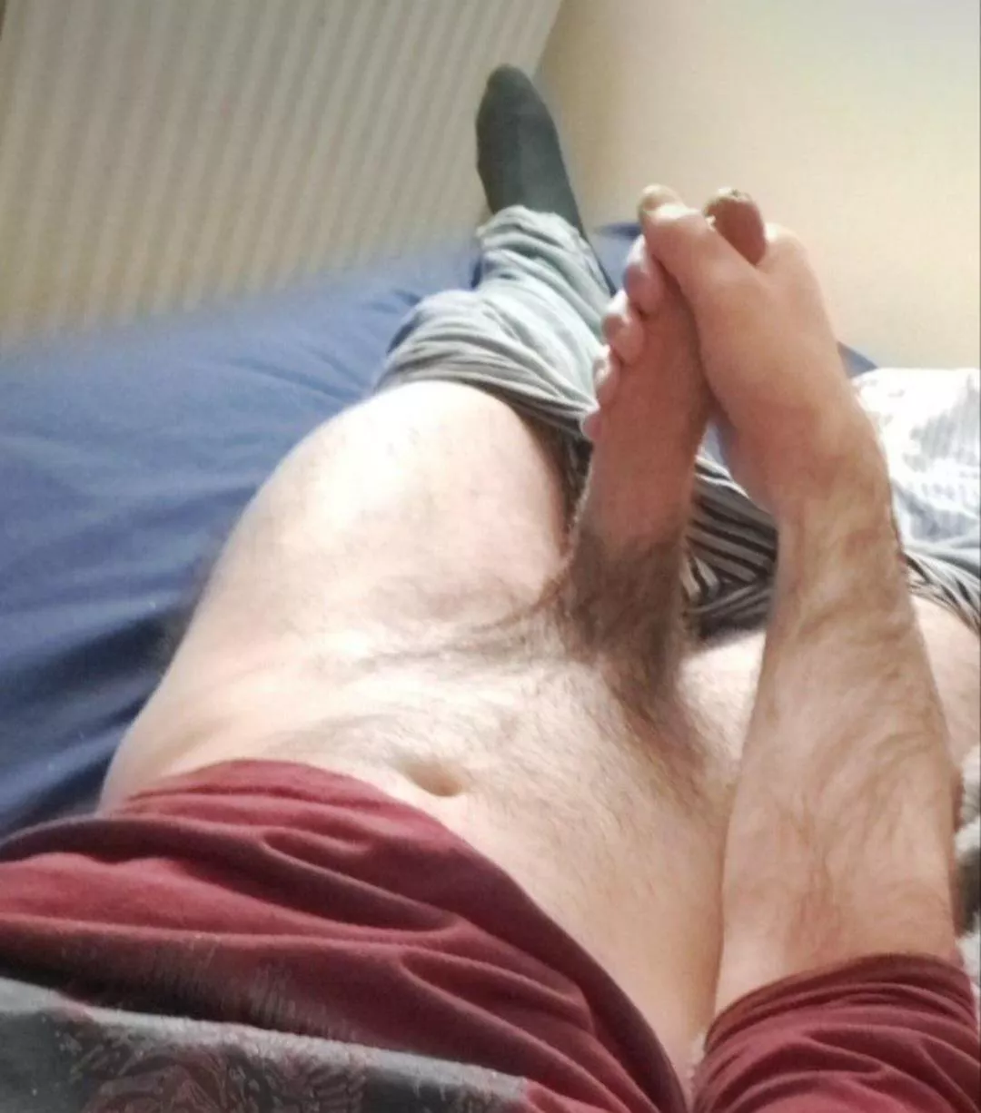 Would you let me breed you? 