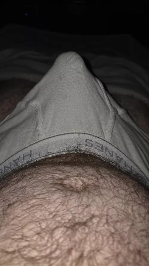 A Bulgey Morning [31]