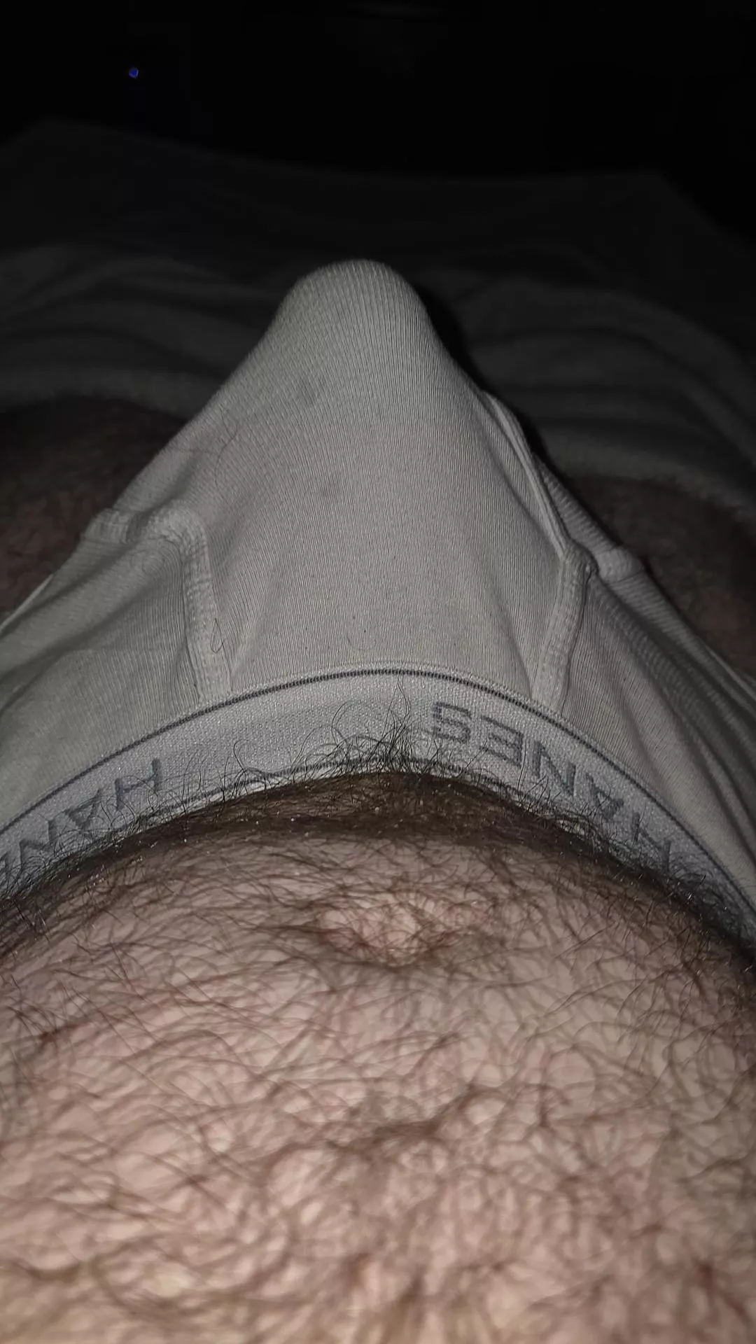 A Bulgey Morning [31]