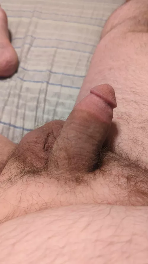 Dad Cock (40)
