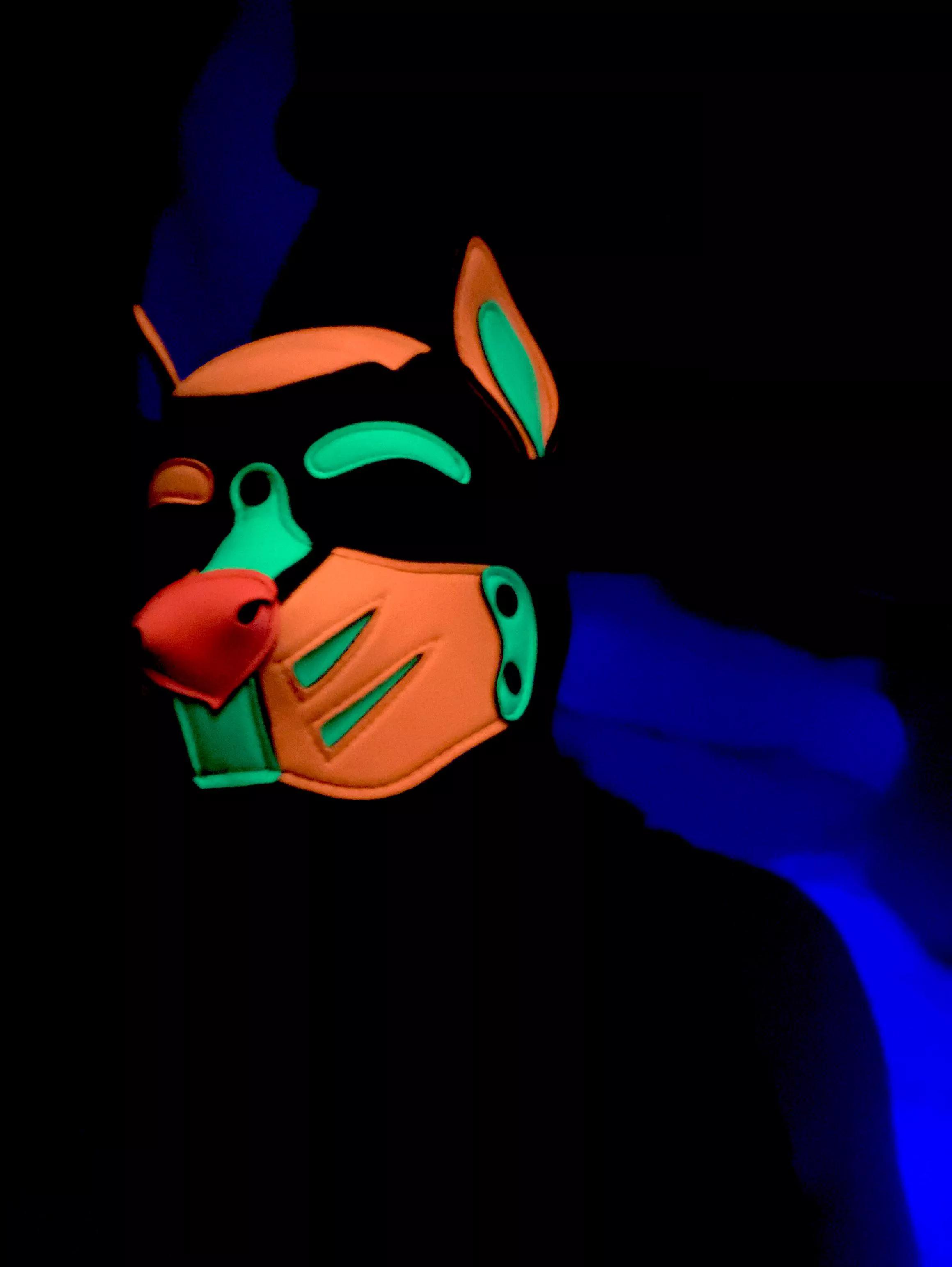 New custom hood! 🐾🐾🥰❤️