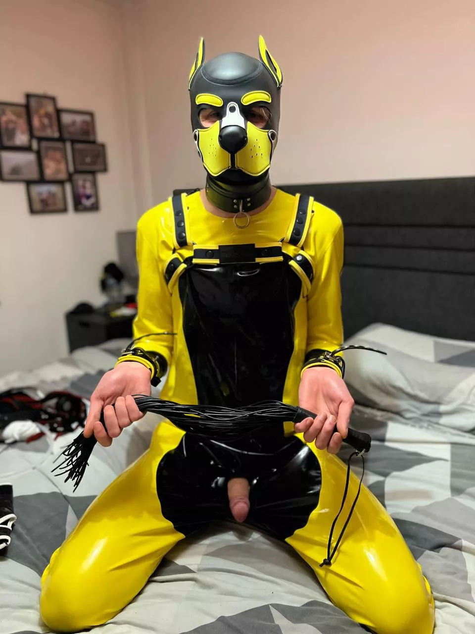 Please Master can we play? 