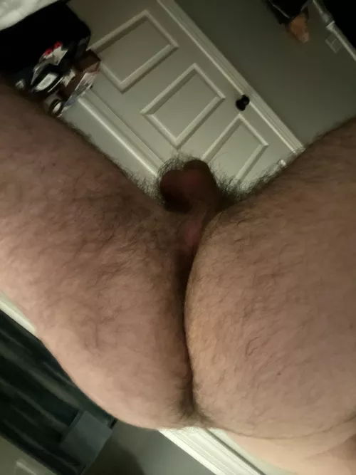 Would eat my hairy ass