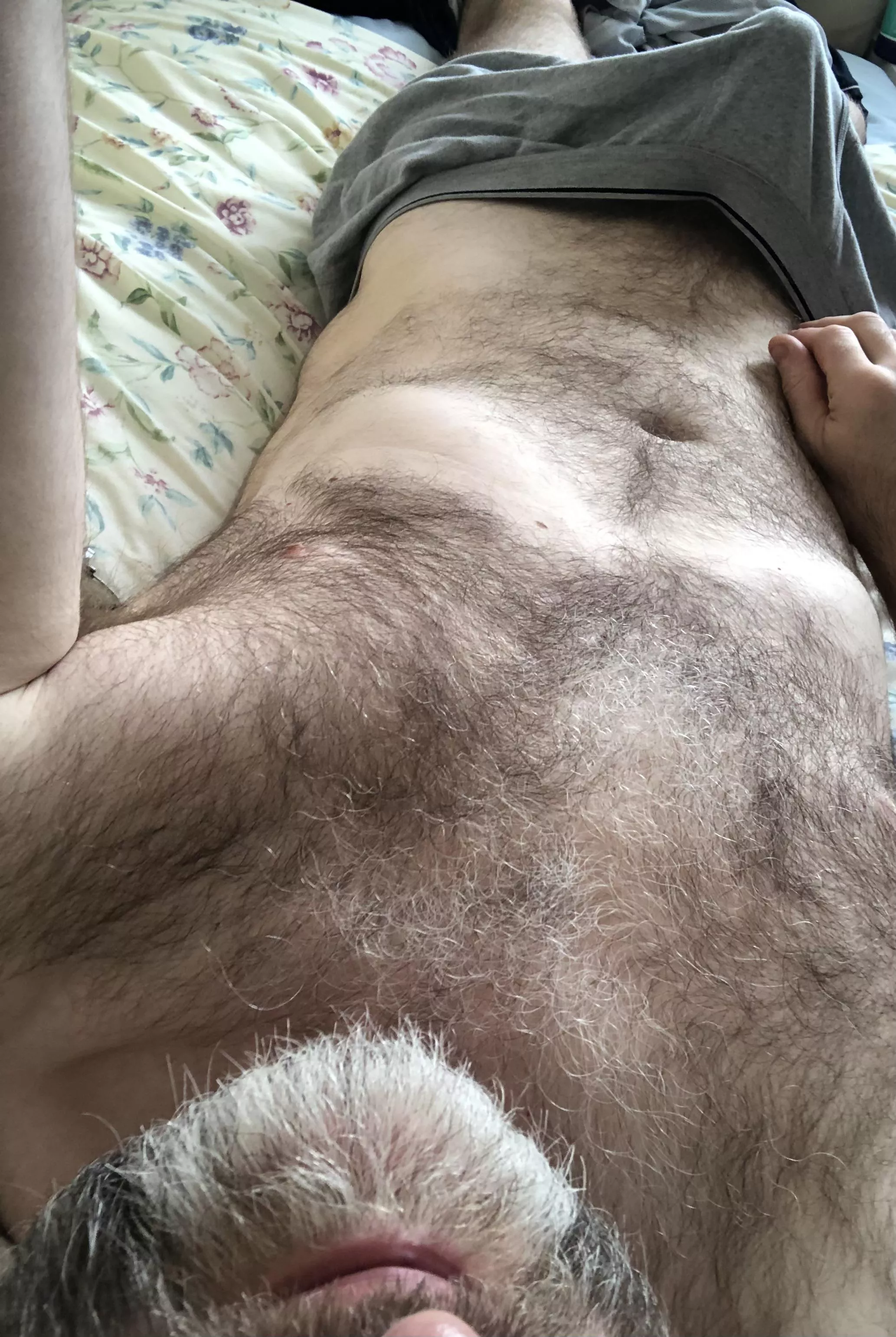 [49] Silver fox waking up 