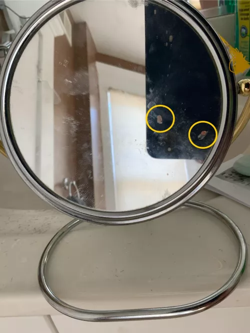 Popped this little beauty today.  It made a sound and I felt the vibration of the splatter upon hitting the mirror