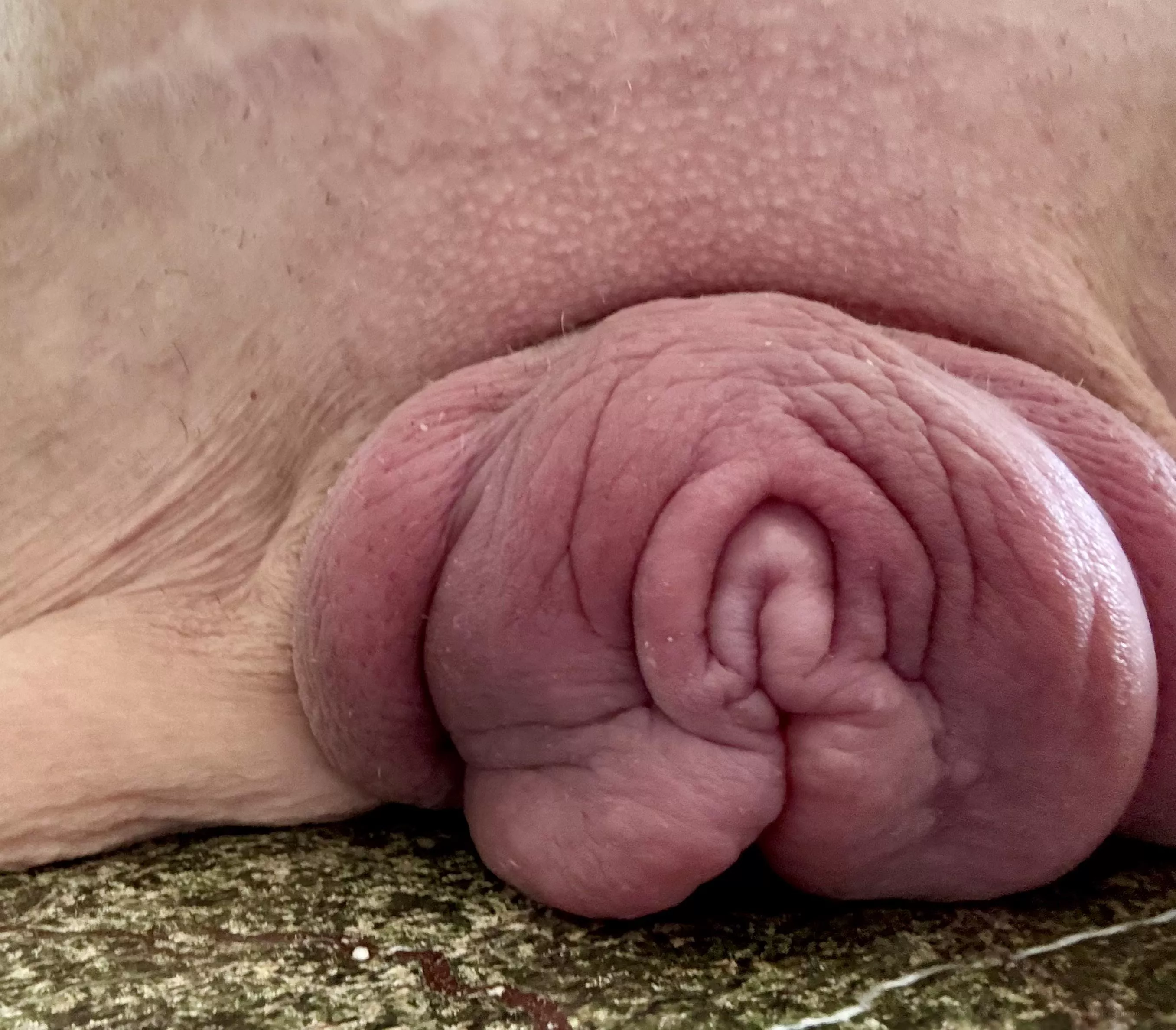 Resting on the desk [f]