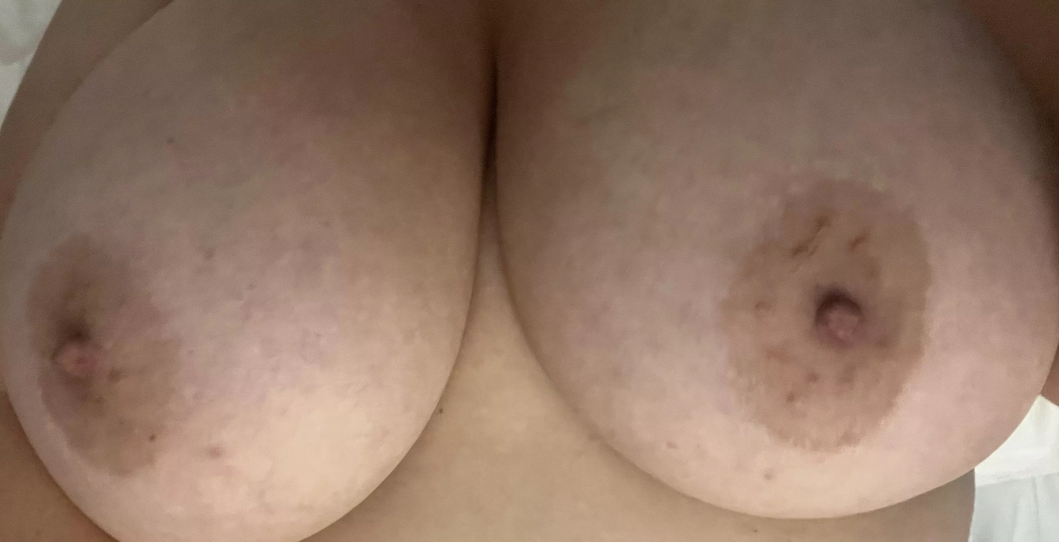 These ladies have enjoyed the sun lately. What about you?