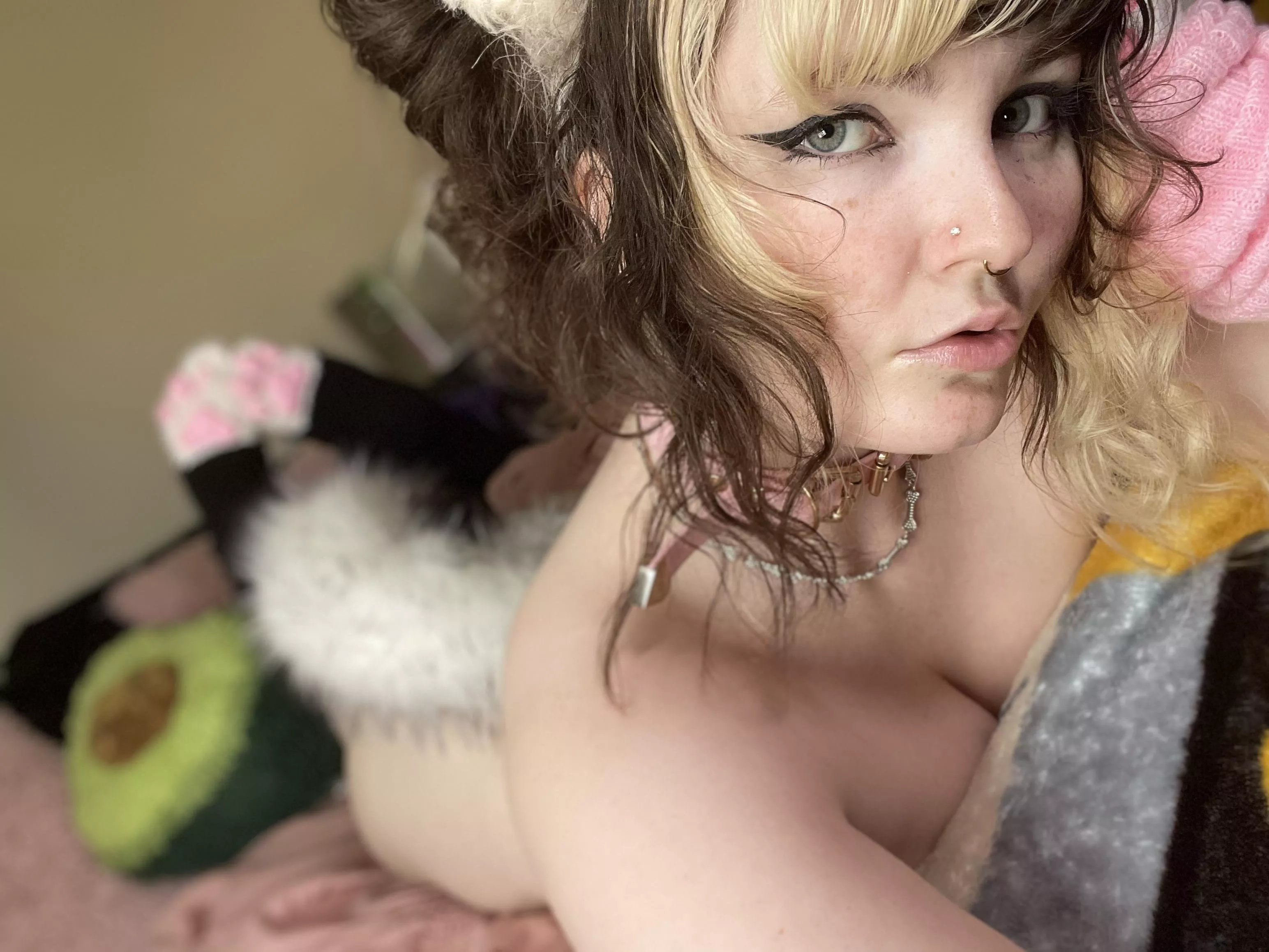 Would you breed with a little mutt like me?✨🐶