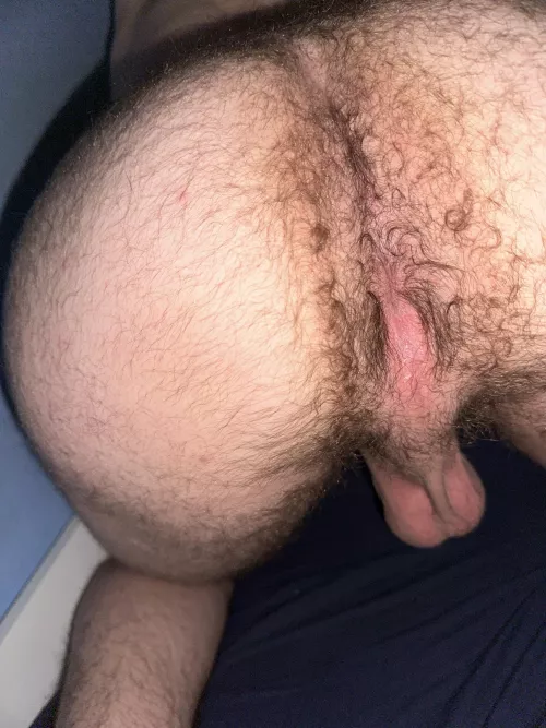 [21]Use me as you want!