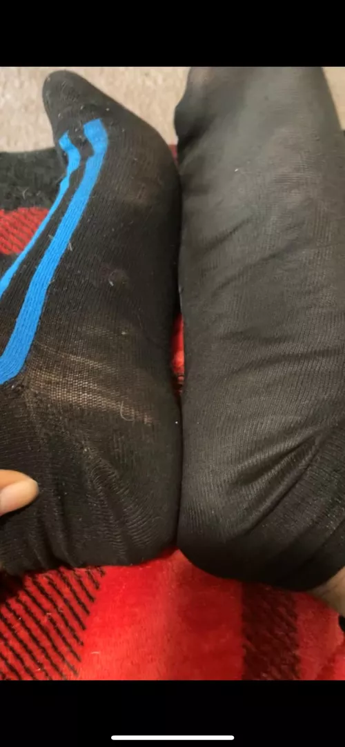 [F] My 3day old smelly gym socks. They don’t match but they sure are beautiful ! 