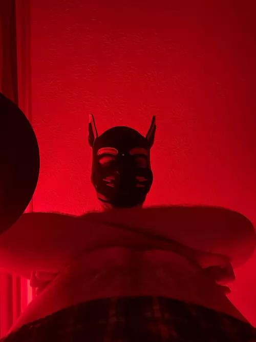 Hi there pup, glad to see you’re already on your knees and ready to go 😈