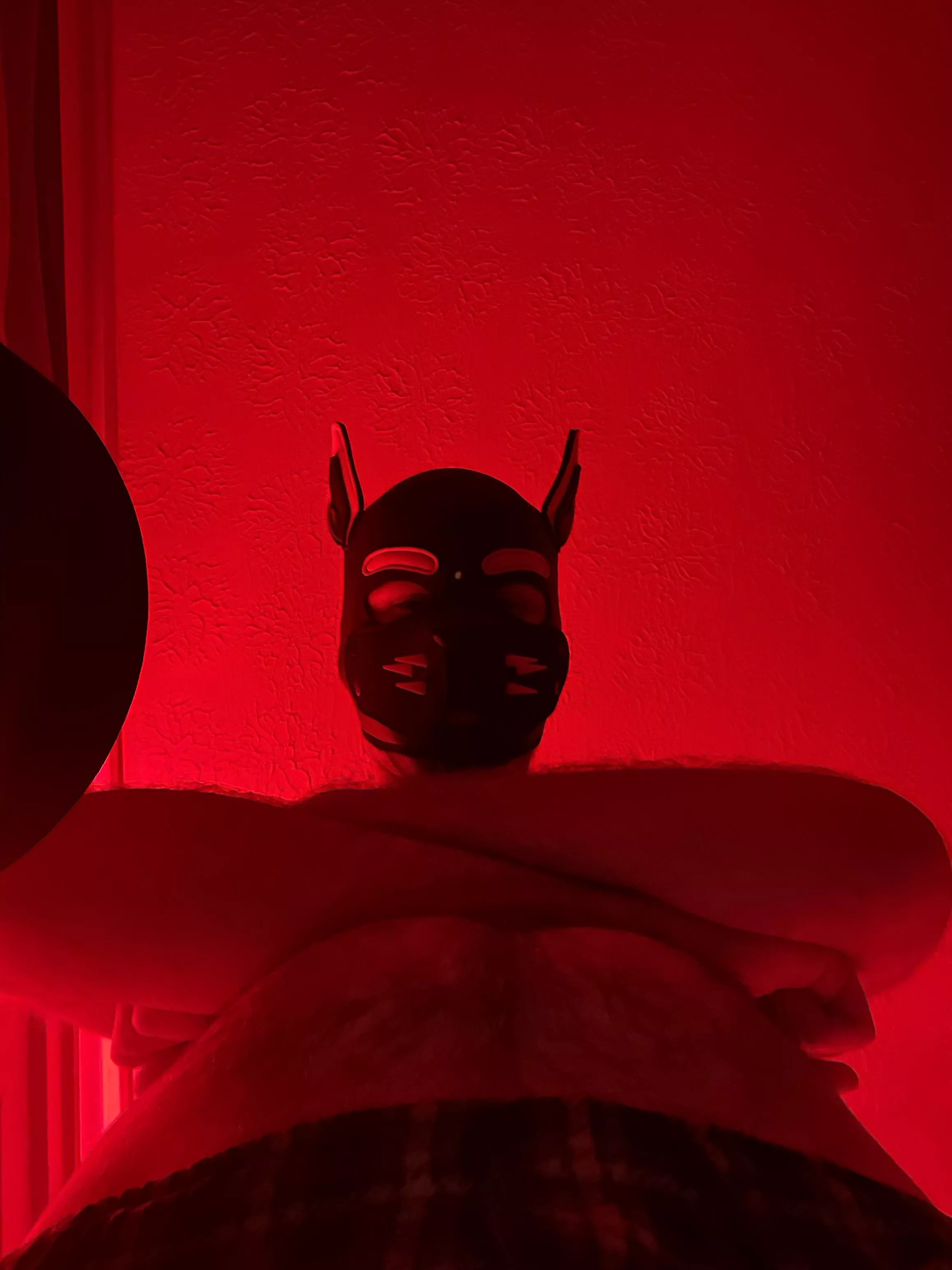 Hi there pup, glad to see you’re already on your knees and ready to go 😈