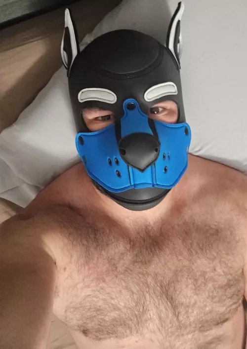 I love my mix and match hood