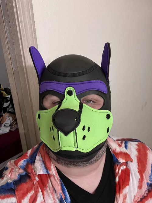 New Muzzle… thoughts? 