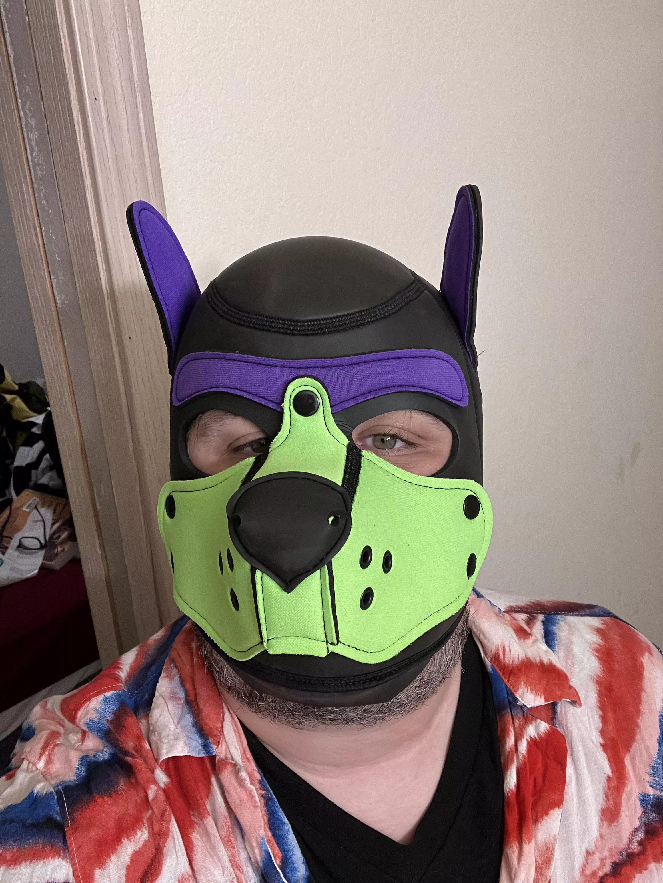 New Muzzle… thoughts? 