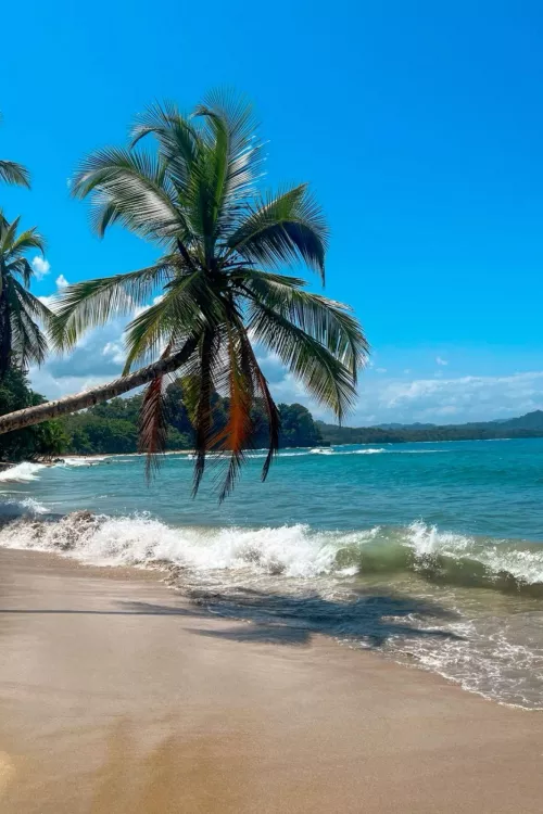Puerto Viejo Costa Rica 🇨🇷 🏖️