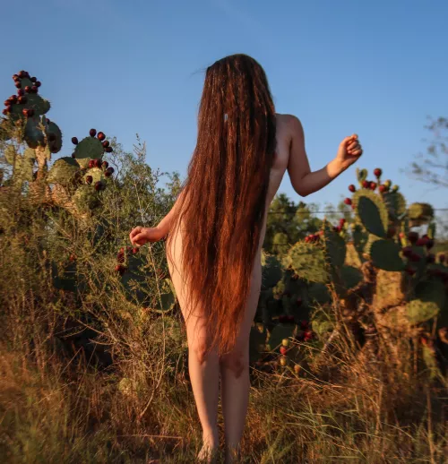 sunset brings out the red in my hair