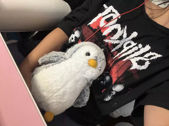 Willis is the perfect gaming buddy >.<