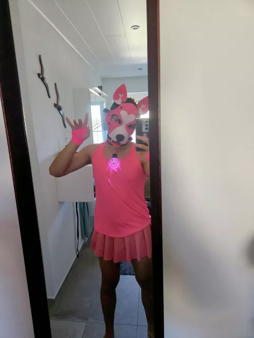 Wraff wraff..pls..i want petss