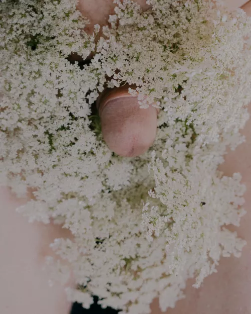 blooming fruits of summer 🌱