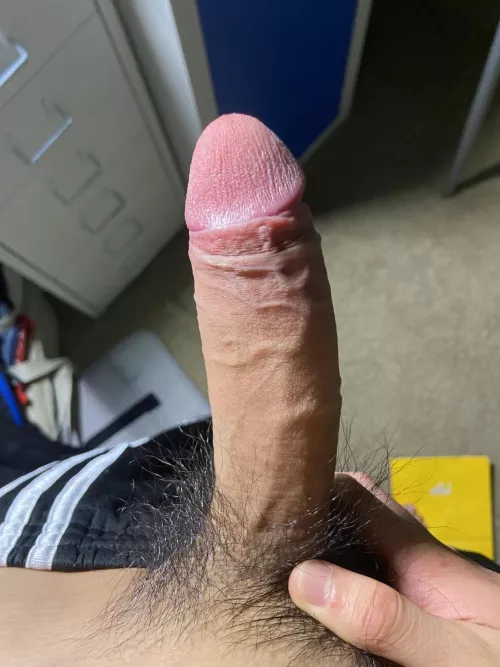 Cum in your mouth or your hole?