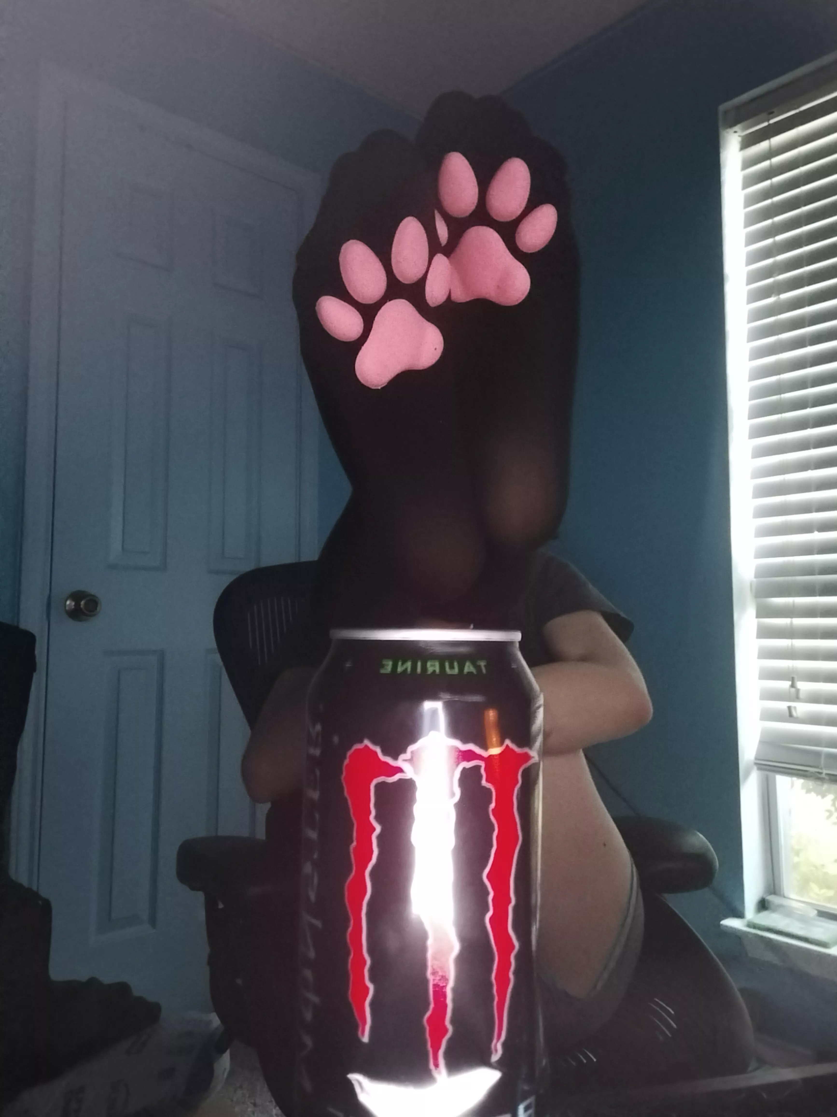 I got the paw thigh highs :D