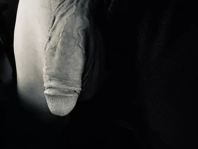 WFH has great benefits 