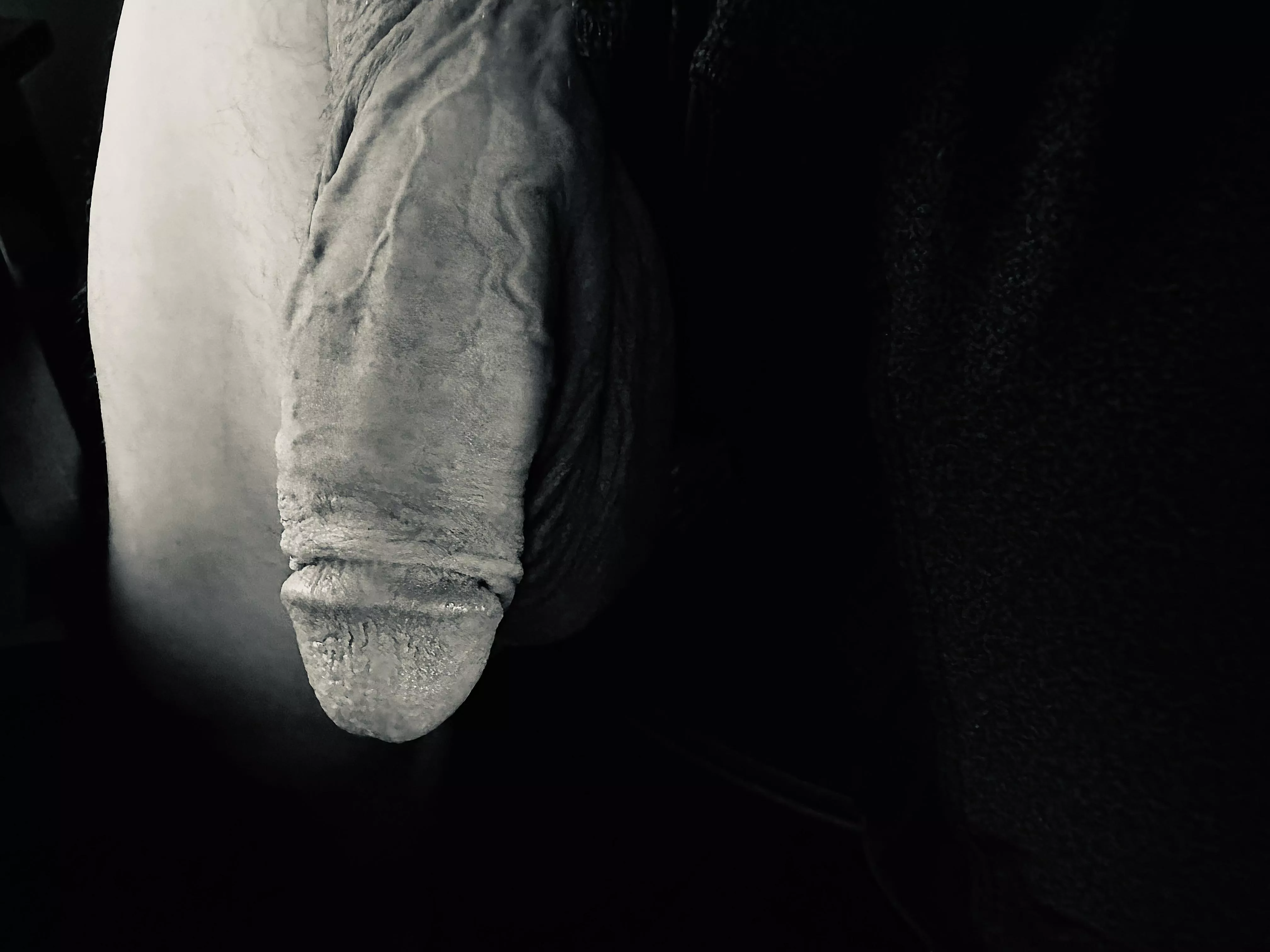 WFH has great benefits 