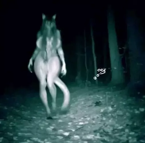 I’ve seen this on twitter but can’t find the source anybody know?