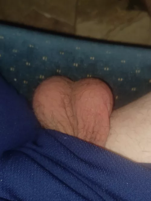 Some low hangers [24]