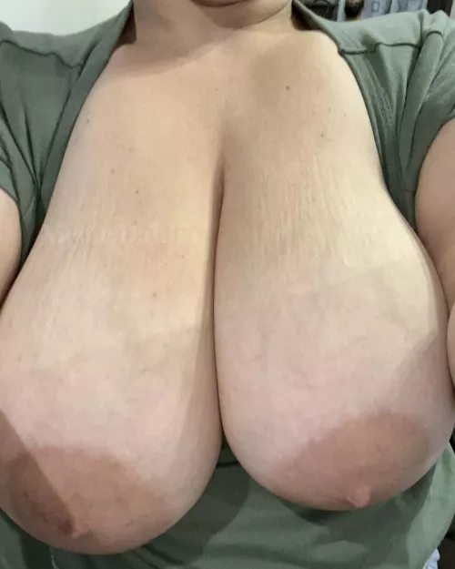 They’re too perfect to hide! 